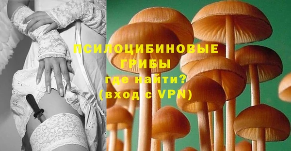 шишки Михайлов