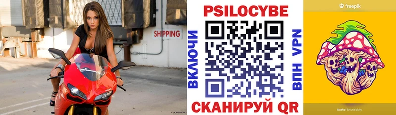 darknet официальный сайт  Мирный  Галлюциногенные грибы мицелий 