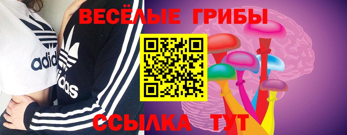 Галлюциногенные грибы прущие грибы  Псилоцибиновые грибы Psilocybe  Мирный 